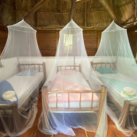 بيت شباب Casa De La Iguana Lívingston المظهر الخارجي الصورة