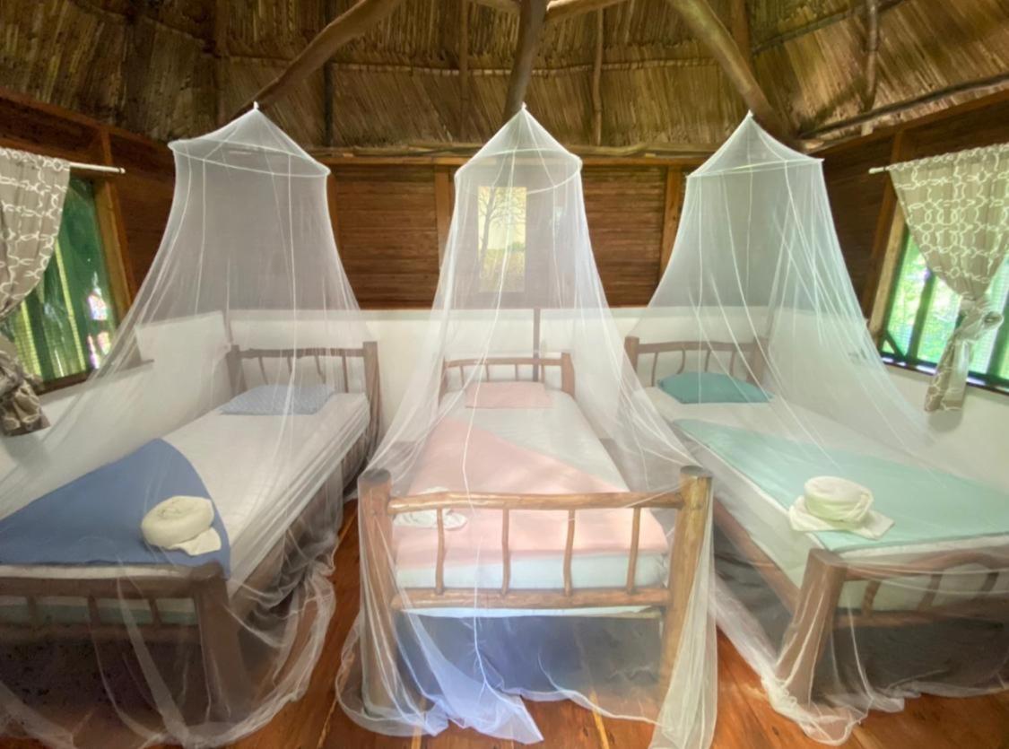 بيت شباب Casa De La Iguana Lívingston المظهر الخارجي الصورة